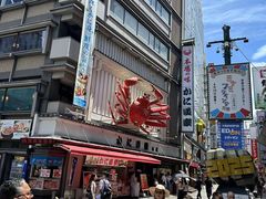 -蟹道乐(道顿堀本店)