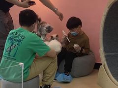 -喵宠乐园·撸猫互动·猫舍