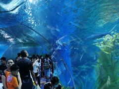 -顺德南宏海立方海洋公园