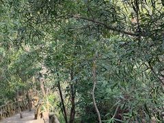 -汕尾铜鼎山旅游区