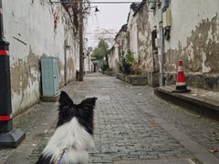 -八珍手工水饺·妈妈的爱(传芳巷店)