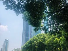 -西北湖绿化广场