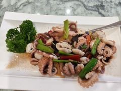 -丽苑大酒店