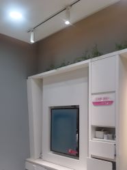 -爱维丽
