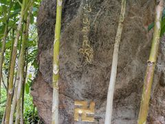 -华侨城湿地公园