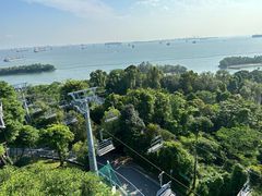 -圣淘沙天际线斜坡滑车