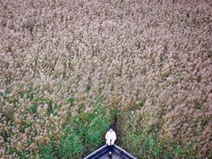 -野鸭湖国家湿地公园