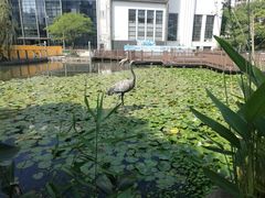 -苏州河梦清园环保主题公园