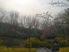 -佛慧山
