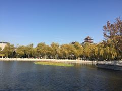 -莲花池公园