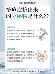 -玛莲朵·海菲秀冰珀科
