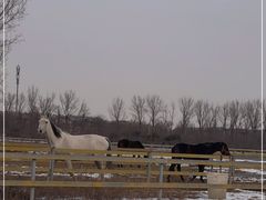 -月河湾马术俱乐部(朝阳店)