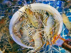 -温岭人家(红花北路店)