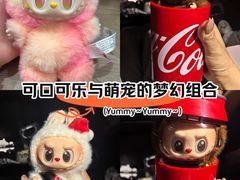 -泡泡玛特POPMART(天环购物中心店)