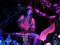 -奥兰多迪士尼动物王国乐园