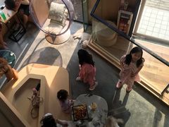 -瞄一喵猫咖(格力海岸店)