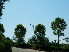 -火炉山森林公园