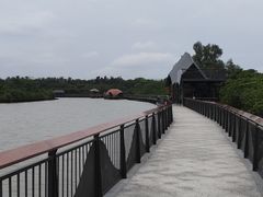 -东寨港红树林旅游区