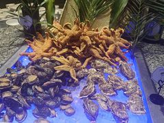 -青岛银沙滩温德姆至尊酒店-元素西餐厅