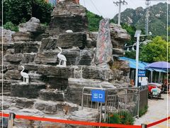 -大岭沟猕猴桃谷风景区