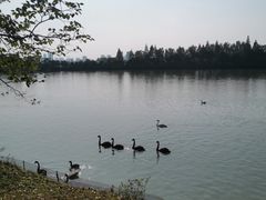 -艾溪湖湿地公园