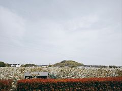 -树山生态村