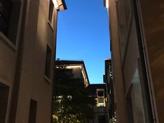 -徐家汇源景区-衡山坊
