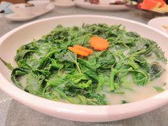 鱼汤浸桑叶-金悦轩海鲜酒家(拱北店)