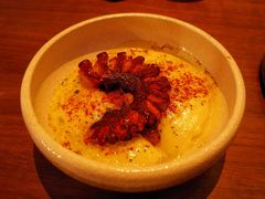 缥缈章鱼-FOGO
