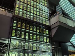 -广东中医药博物馆