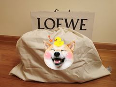 -LOEWE罗意威(万象城店)