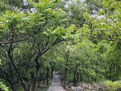 -冶父山国家森林公园
