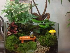 iphone_upload_pic-双季花艺园艺市场(浦东店)