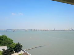-大湾区中央湿地公园