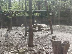 -上海野生动物园