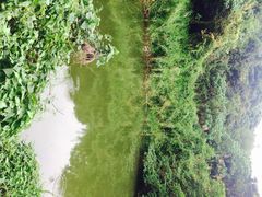 iphone_upload_pic-南丫岛