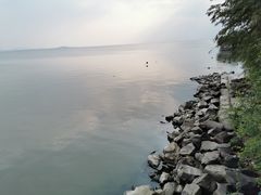 -贡湖湾湿地公园