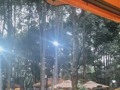 -二荆条·蜀鲜汇城市森林火锅
