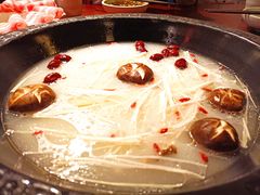 菌菇养生锅-袁老四重庆老火锅(桐梓坡店)