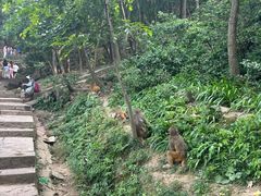 -黔灵山公园