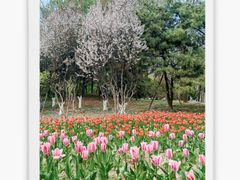 -鲍师傅糕点(永安里店)