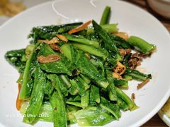 -永記粤菜·五指毛桃花雕鸡煲(九亭店)
