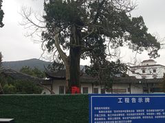 -司徒庙
