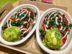 -油梨树AVOCADO TREE(望京店)
