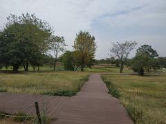 -盘龙城国家考古遗址公园