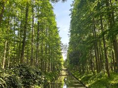 -东平国家森林公园