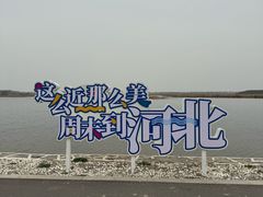 -南大港湿地风景区