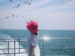 -海驴岛(荣成市)