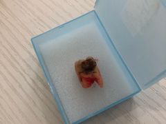 -泰康拜博口腔(华发门诊)