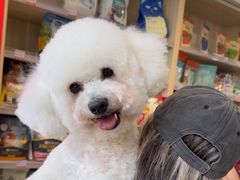 -宠物家(角门东店)